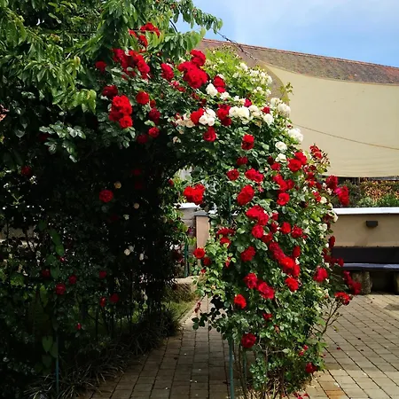 Rotes Ross